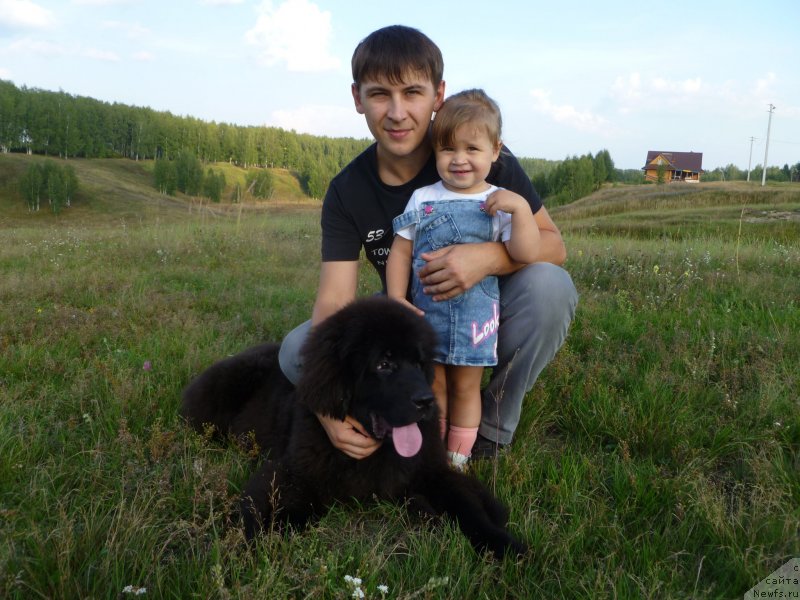 Фотография № 132635