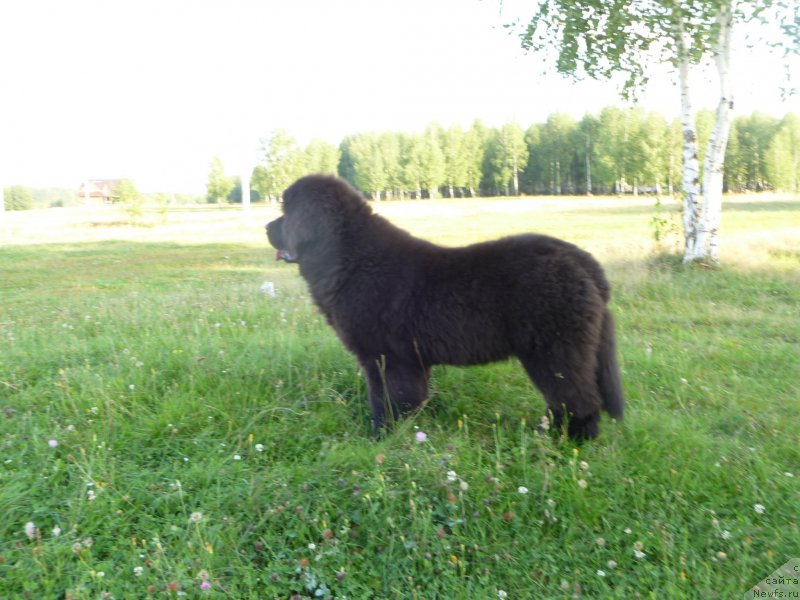 Фотография № 132637