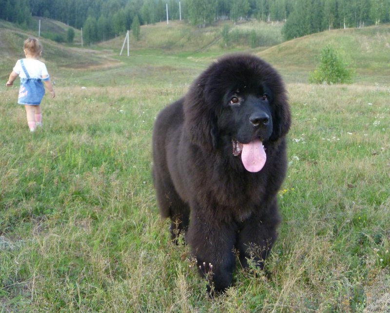 Фотография № 132639