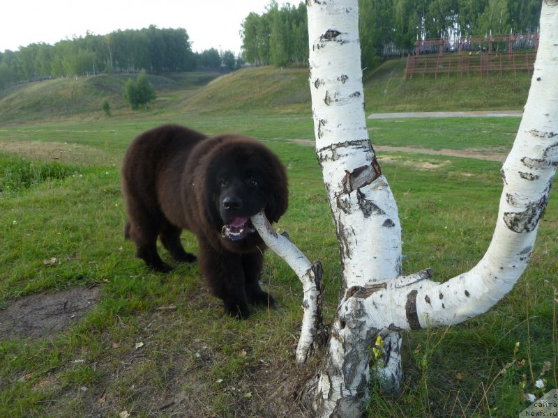 Фотография № 132640