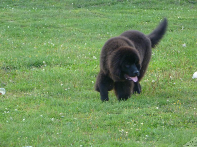 Фотография № 132641