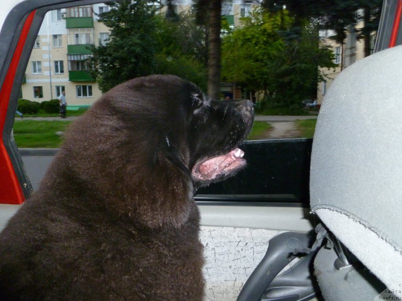 Фотография № 132642