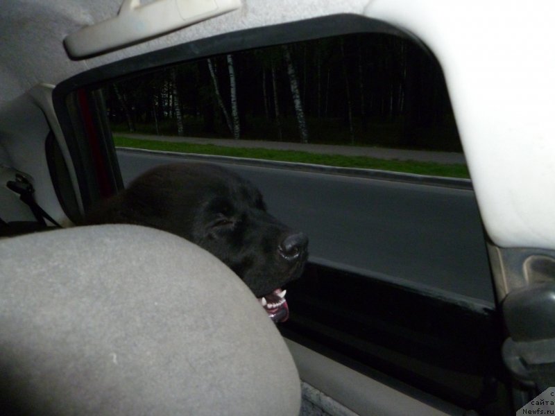 Фотография № 132643