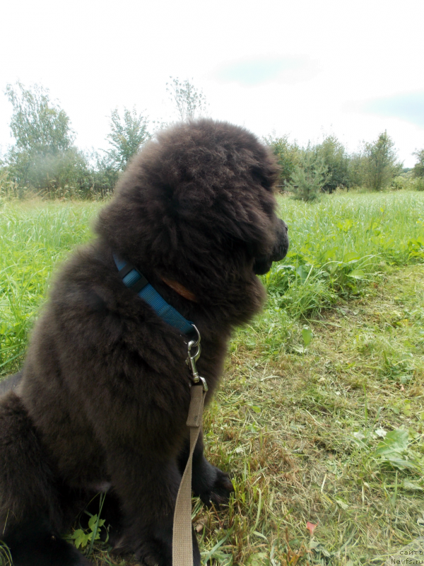 Фотография № 132647