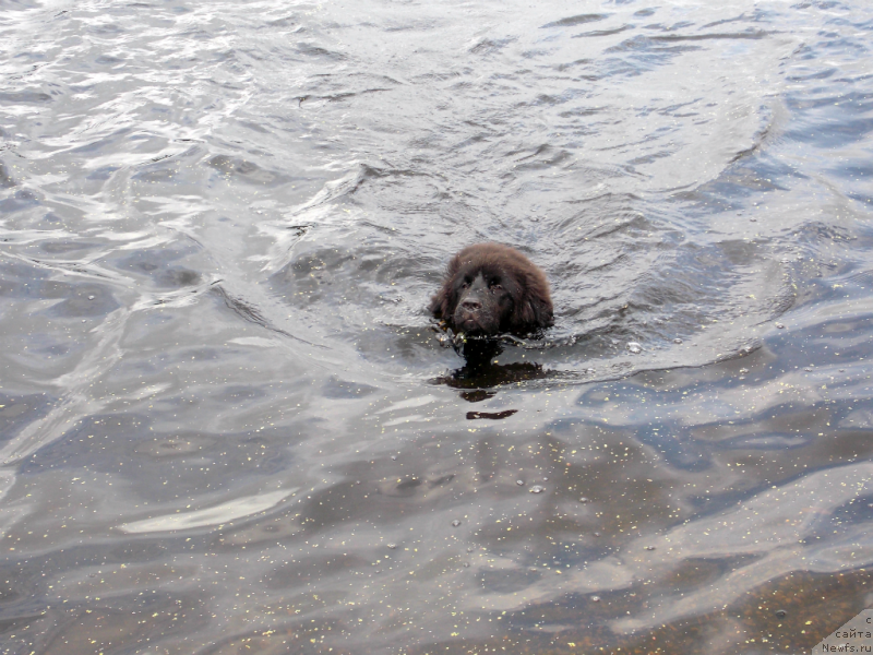 Фотография № 132648