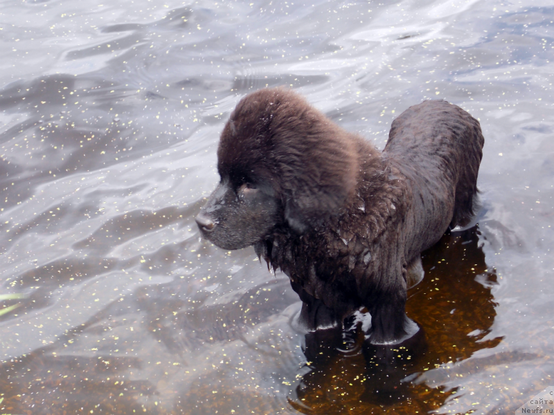 Фотография № 132649