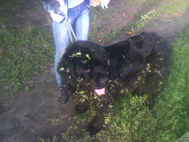 Фотография № 132671