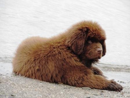 Фотография № 132723