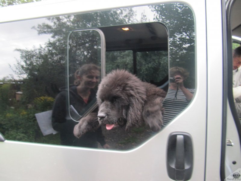 Фотография № 132733