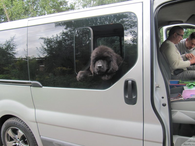 Фотография № 132734