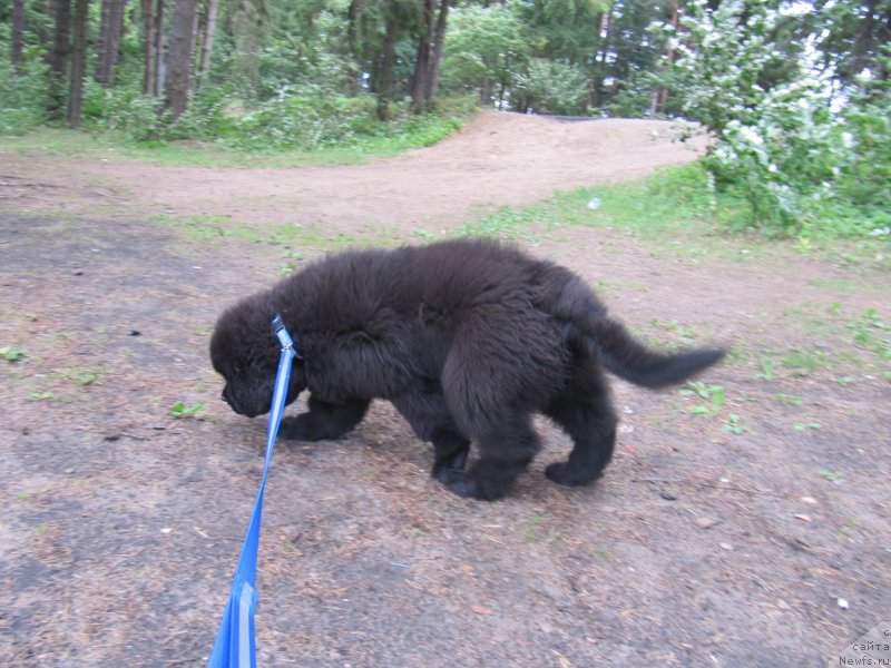 Фотография № 132739