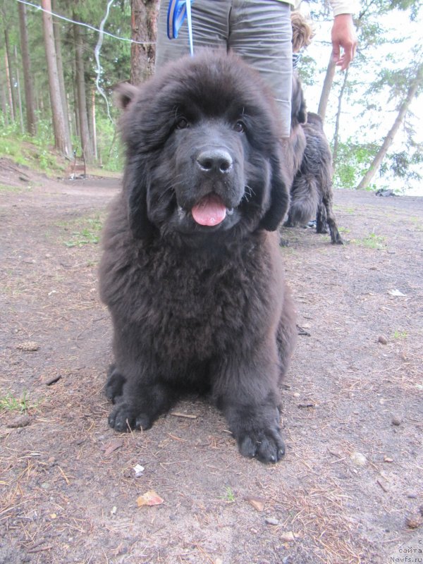 Фотография № 132742