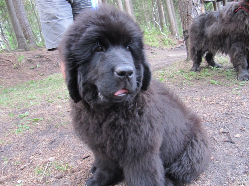 Фотография № 132744