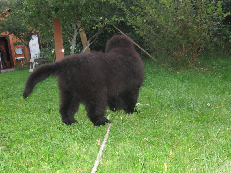 Фотография № 132746