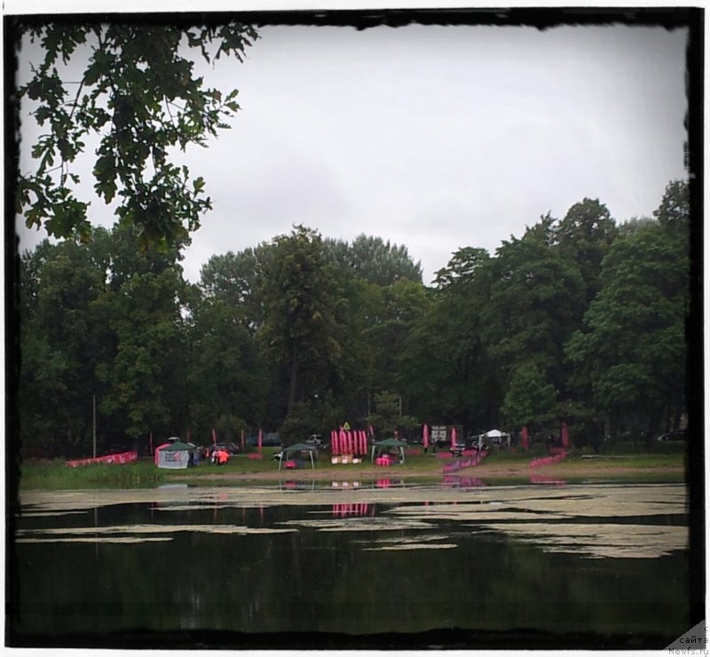 Фотография № 132750