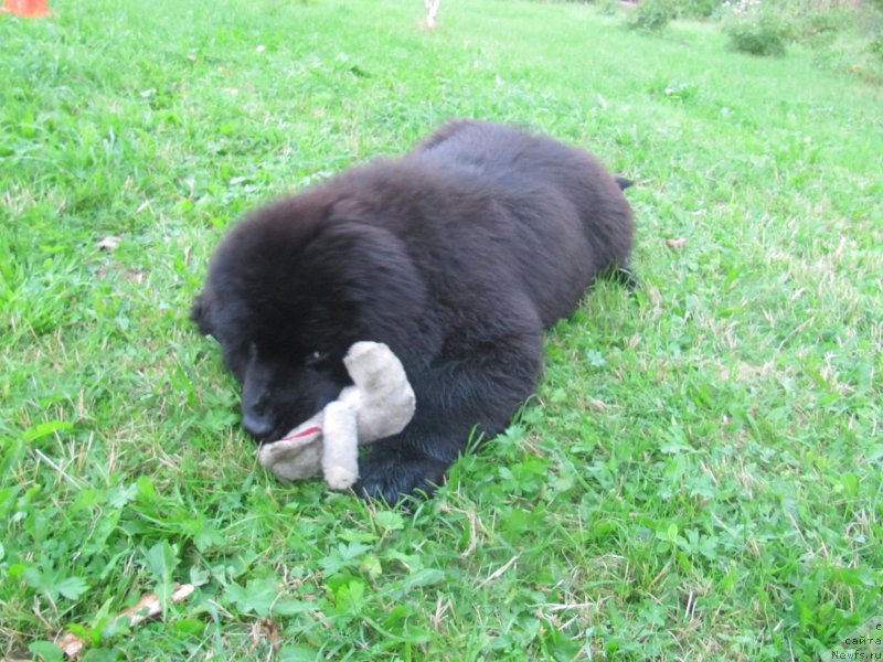 Фотография № 132752