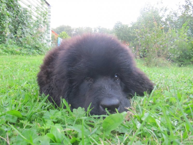 Фотография № 132755