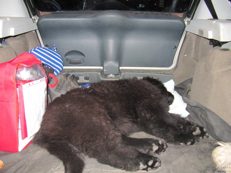 Фотография № 132757