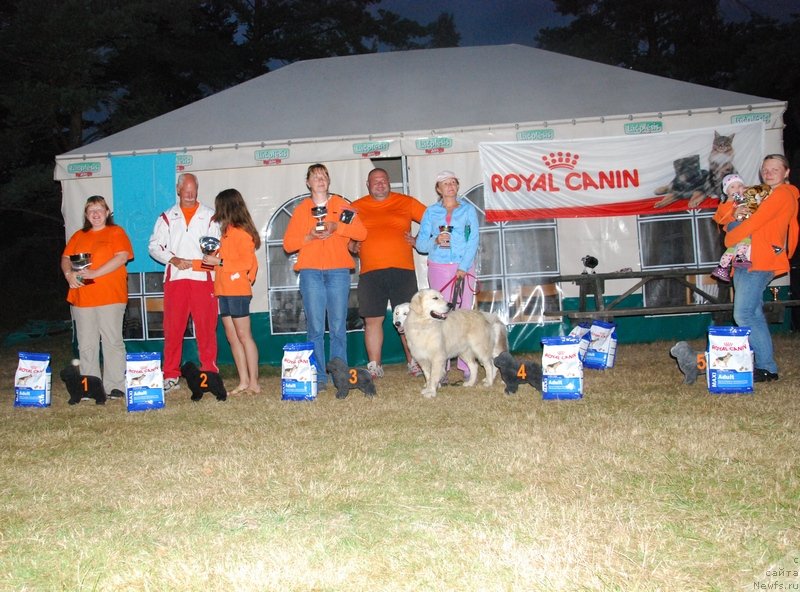 Фотография № 132768