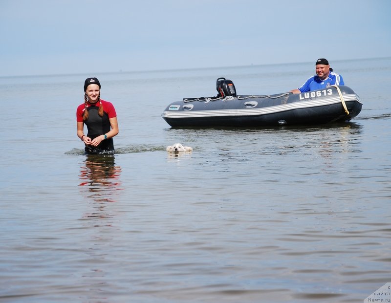 Фотография № 132772