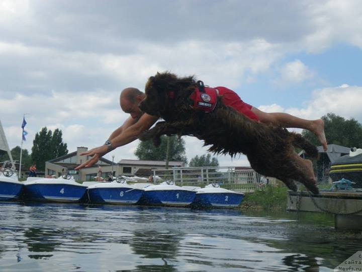 Фотография № 132785