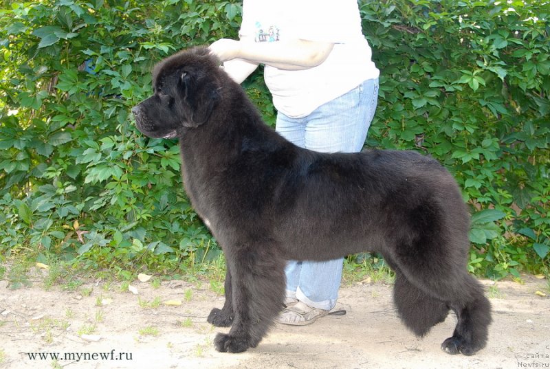 Фотография № 132791