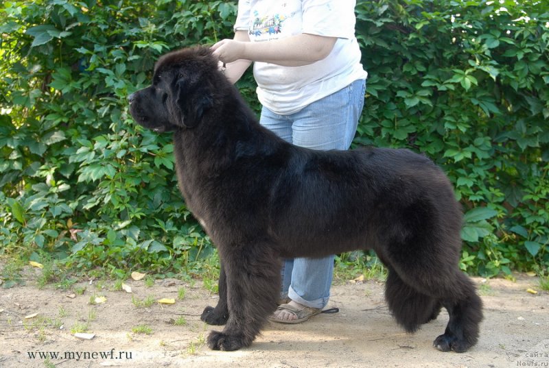 Фотография № 132792