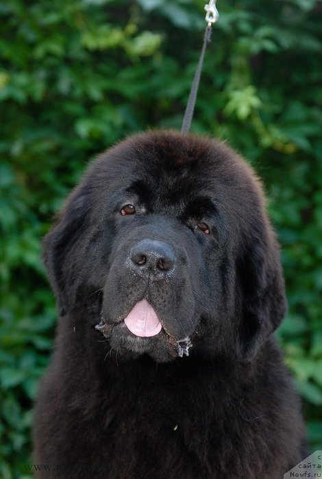 Фотография № 132794