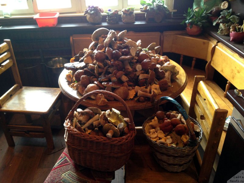 Фотография № 132804