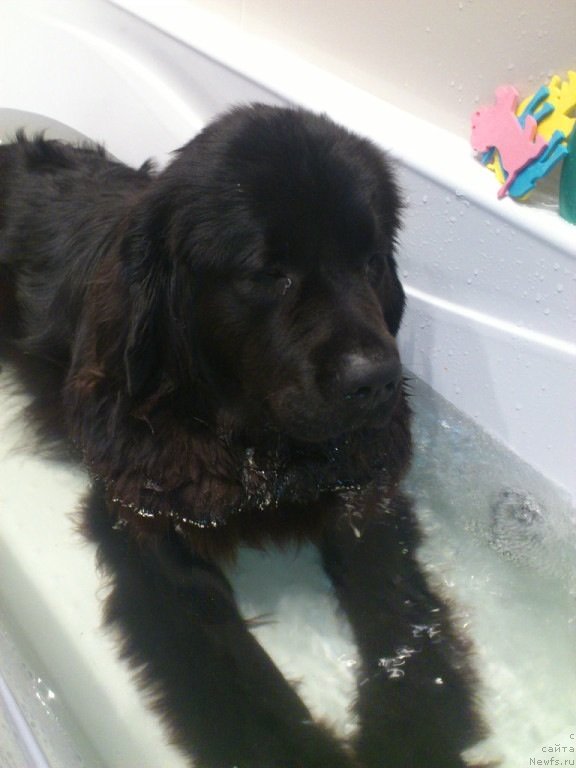 Фотография № 132825