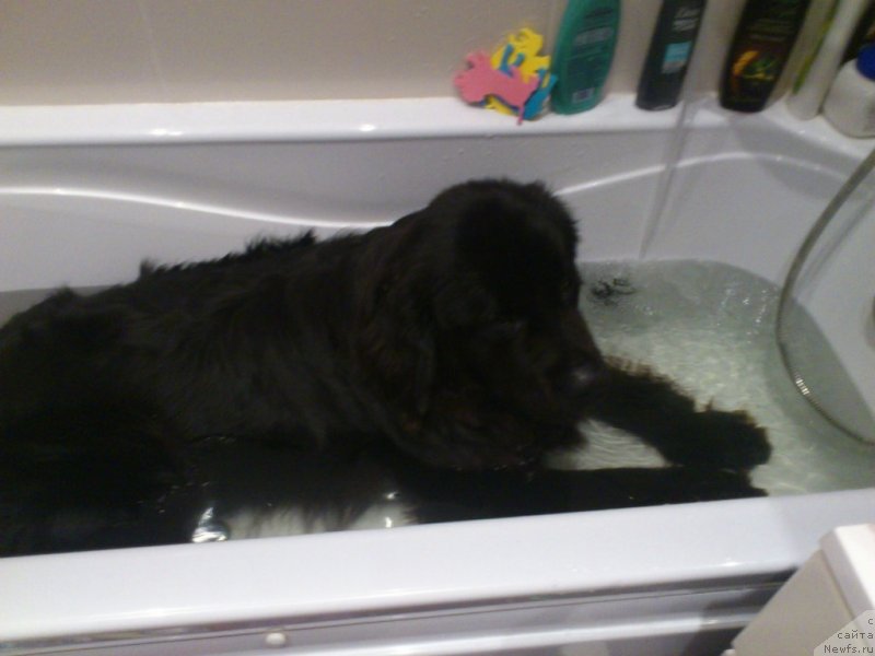 Фотография № 132826