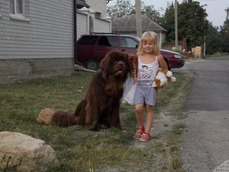 Фотография № 132844