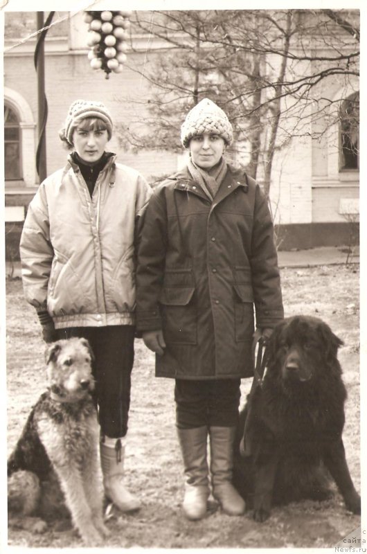 Фото: Карро-Янюс