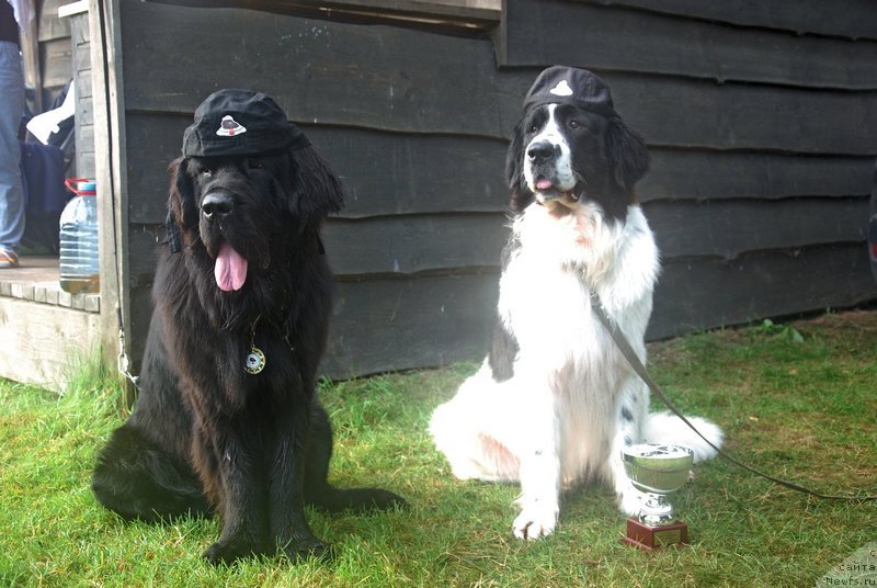 Фотография № 132871