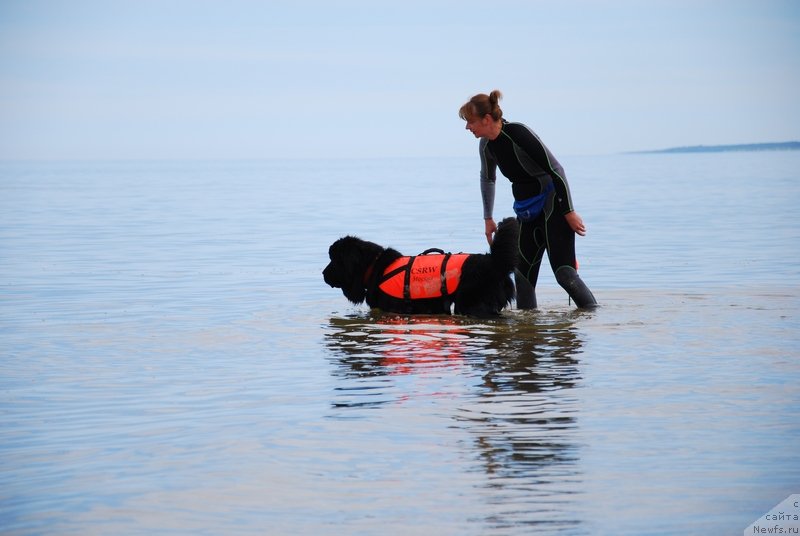 Фотография № 132900