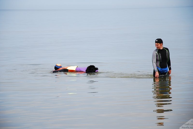 Фотография № 132901