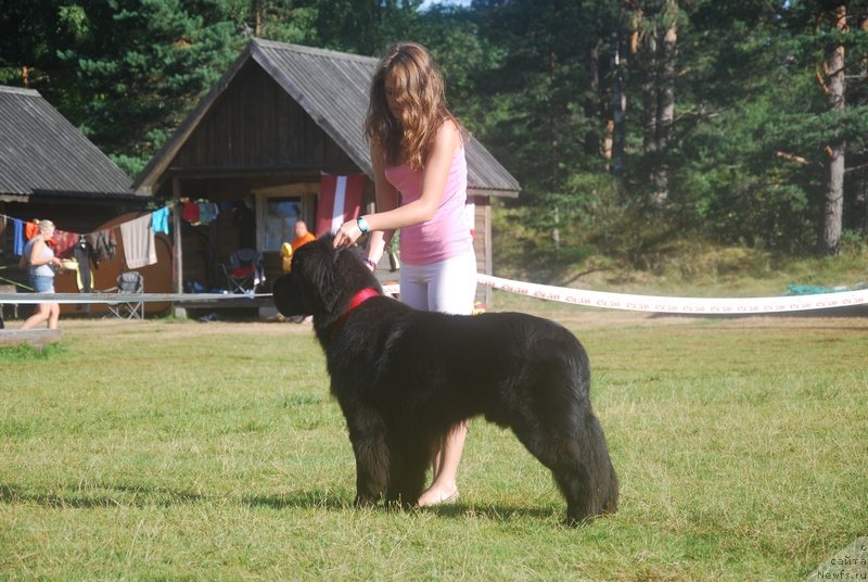 Фотография № 132902