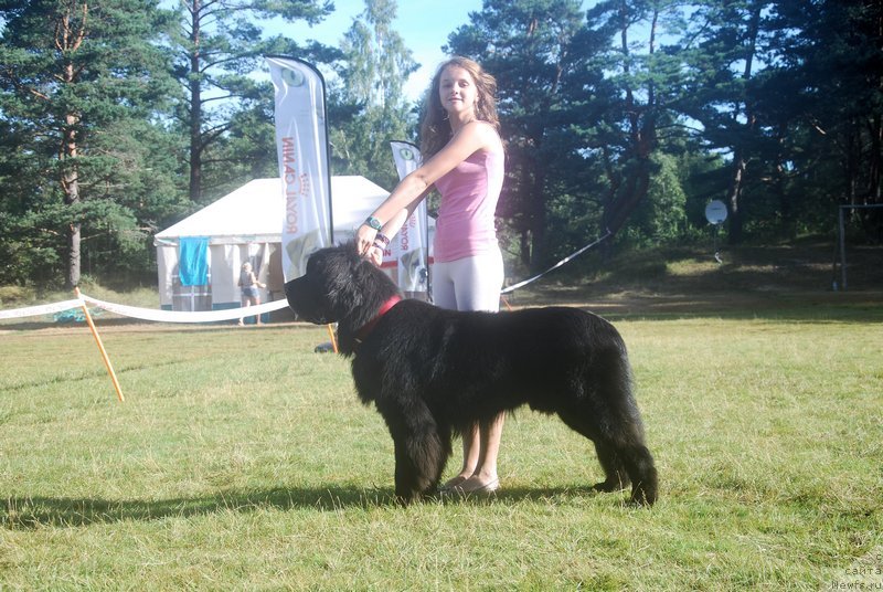 Фотография № 132904