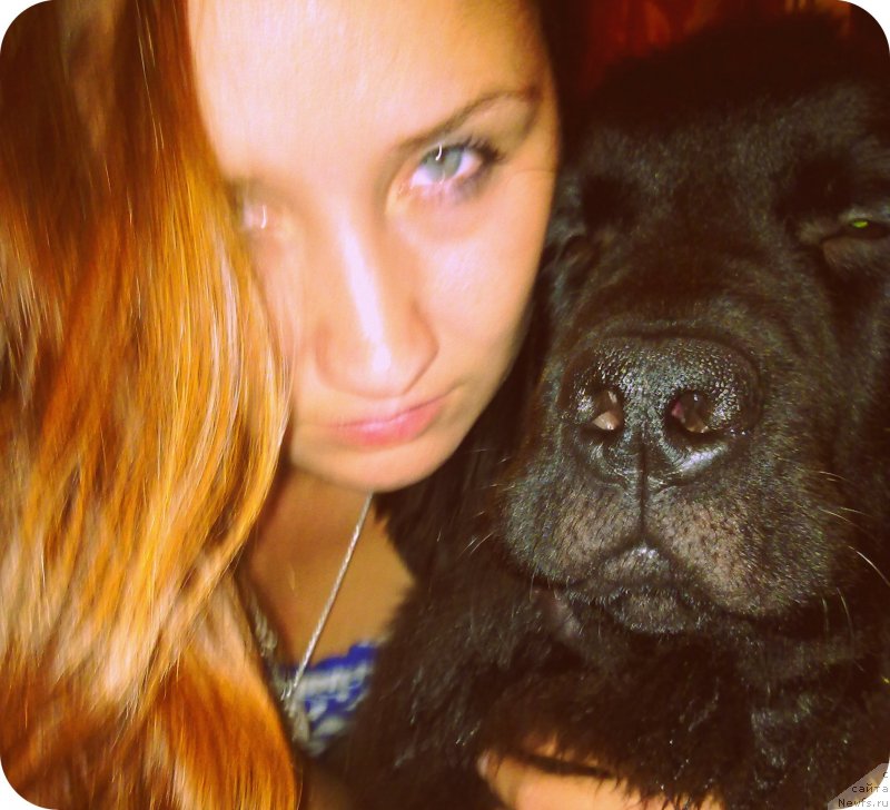 Фото: ньюфаундленд Черный Чанк с Берега Дона (Chernyj Chank s Berega Dona), Ирина Складнова