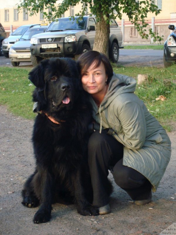 Фотография № 132956