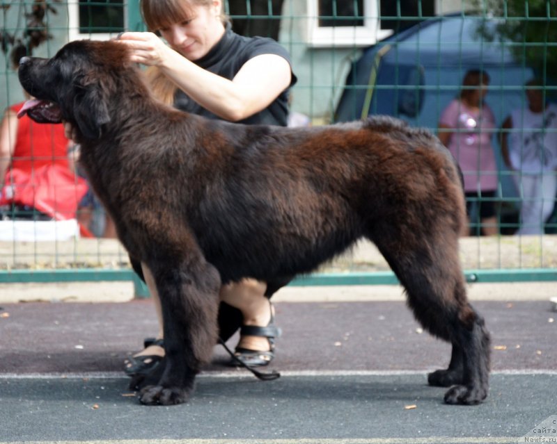 Фотография № 132965