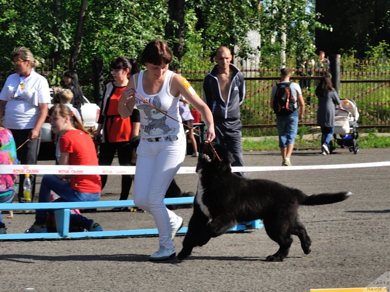 Фотография № 132967