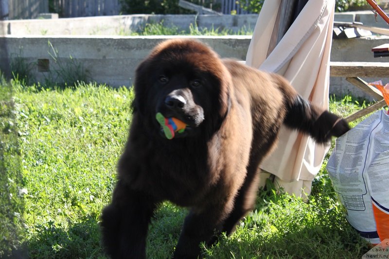 Фотография № 132978