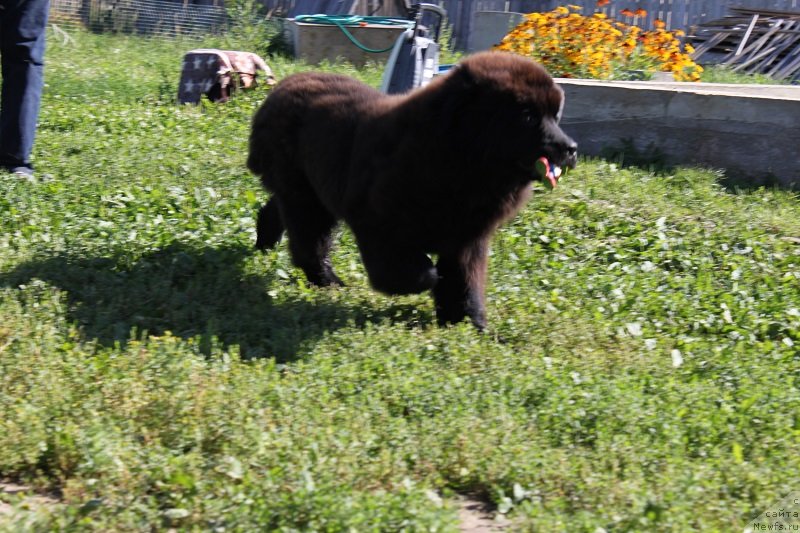 Фотография № 132979