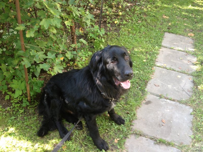 Фотография № 132980