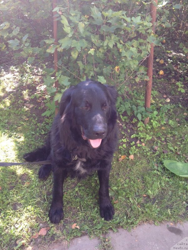 Фотография № 132982