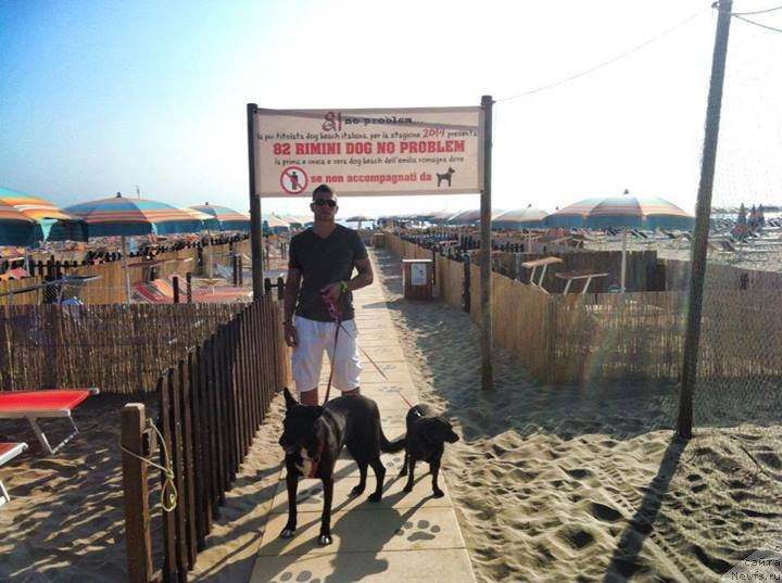 Фотография № 132986