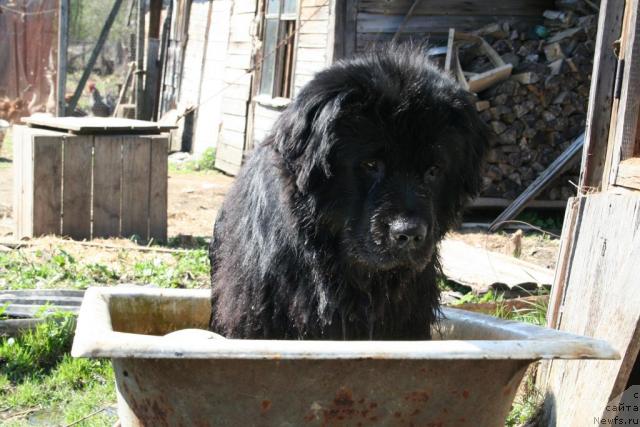 Фотография № 13304