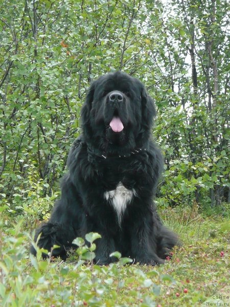 Фотография № 133048