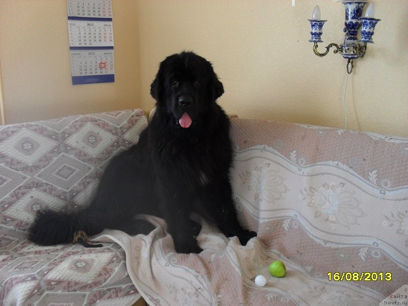 Фотография № 133049